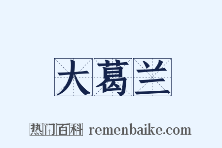 大葛兰是什么意思的图片